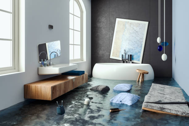  North Augusta, SC Water damage restoration Pros