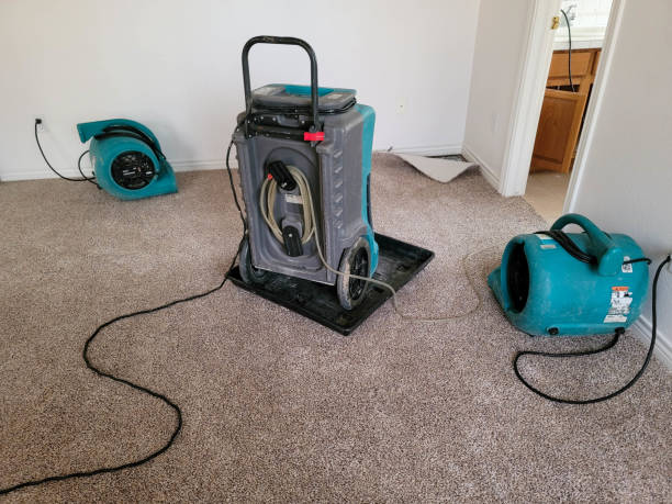 Best Flood restoration services  in North Augusta, SC