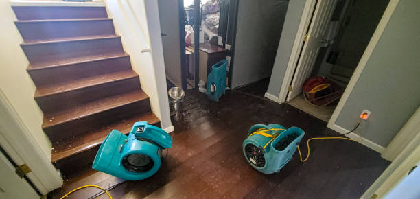 Best Commercial water damage restoration  in North Augusta, SC