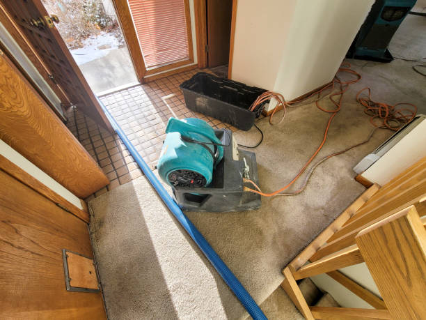 Best Water damage contractors near me  in North Augusta, SC