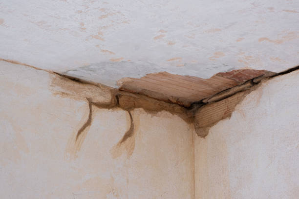 Best Water damage restoration mold remediation  in North Augusta, SC
