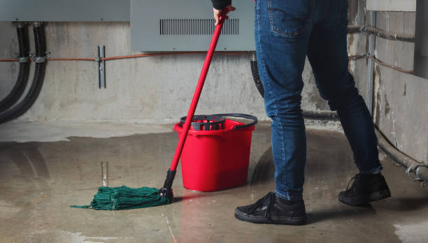 Best Flooded house restoration  in North Augusta, SC