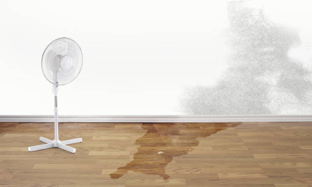 Best Fire Damage Restoration  in North Augusta, SC