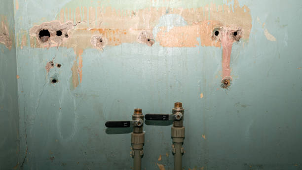 Best Local water damage restoration  in North Augusta, SC