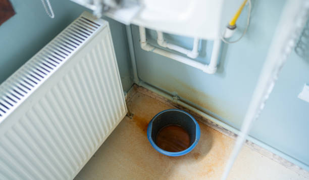Best Mold removal after water damage  in North Augusta, SC