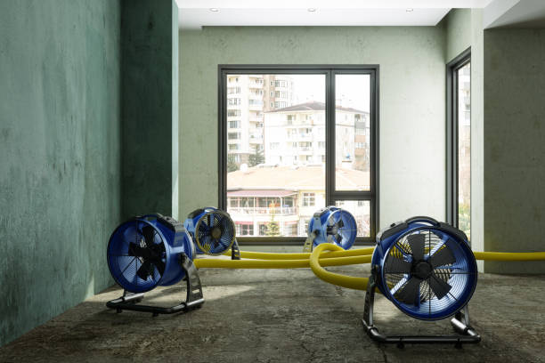 Best Professional water damage repair  in North Augusta, SC